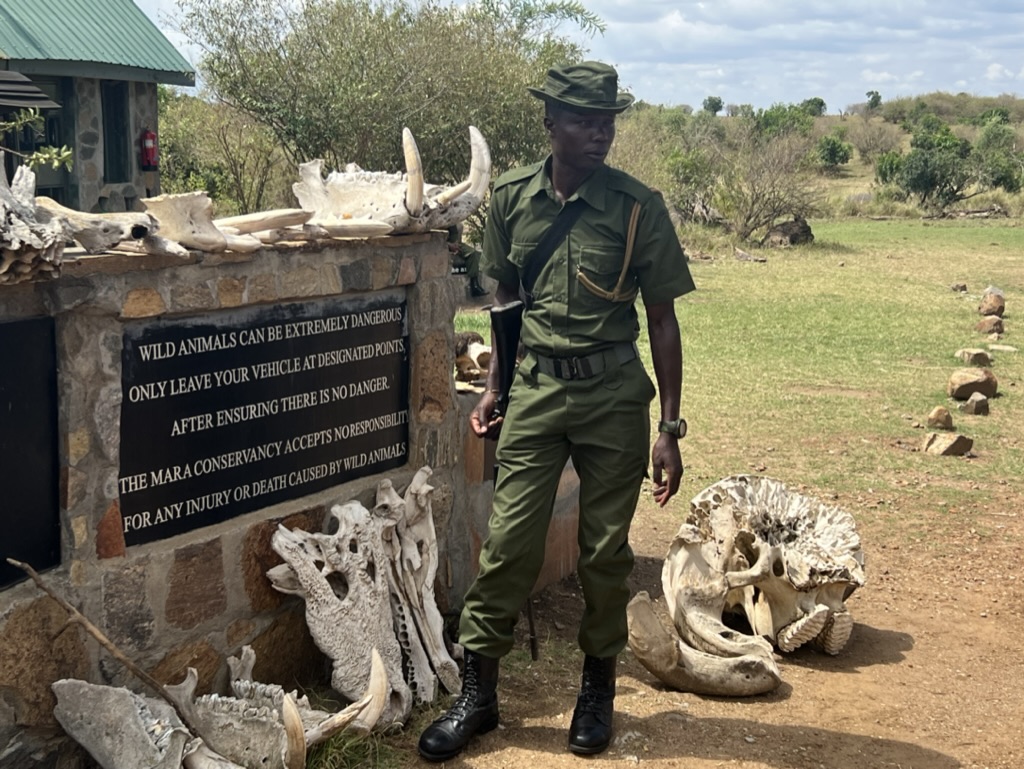 Ranger geeft uitleg in de Masai Mara