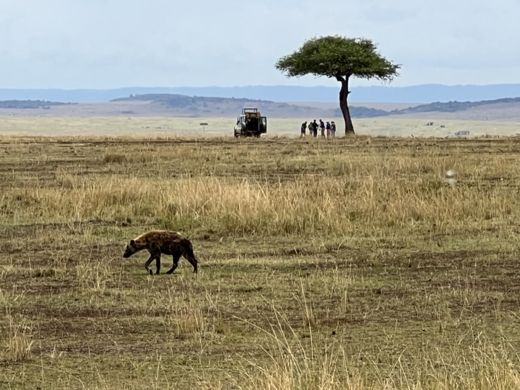 Hyena Shoestring Singlereis naar Kenia en Tanzania