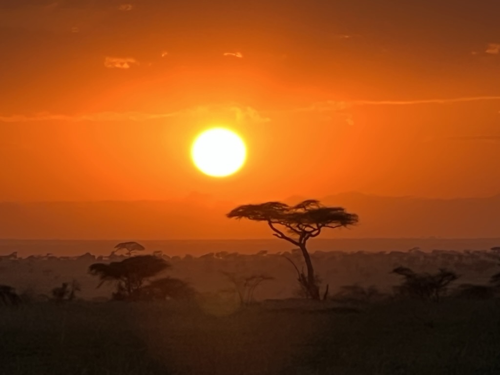 Zonsopkomst in Serengeti National Park Tanzania