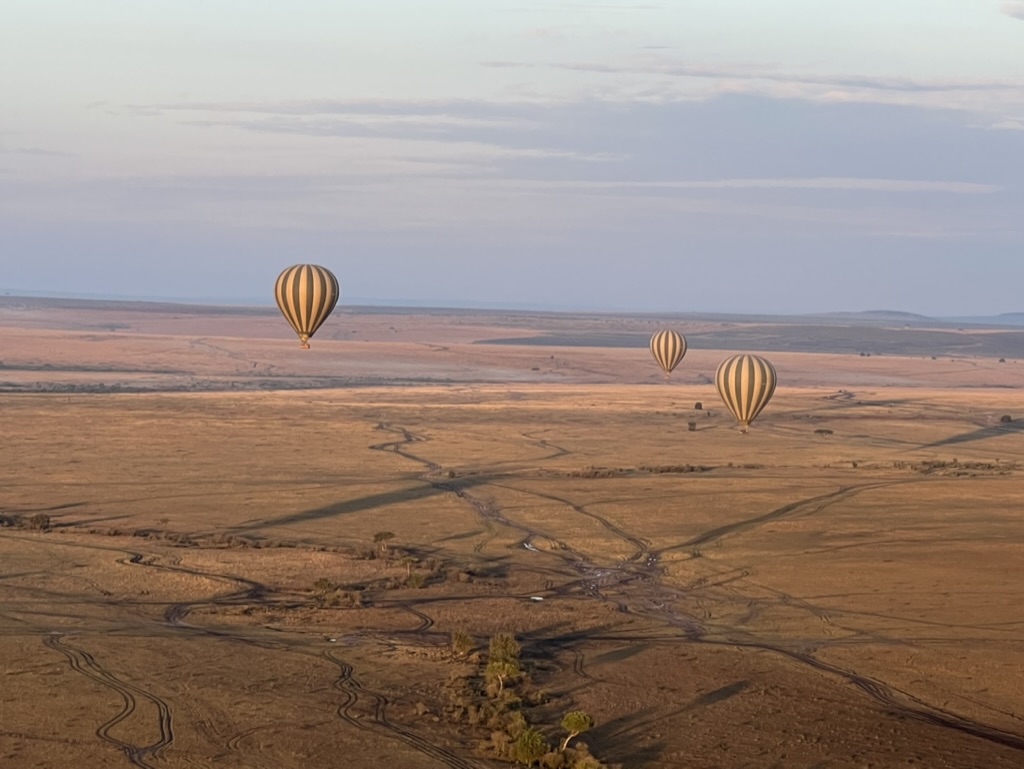 Ballonvaart Masai Mara Kenia